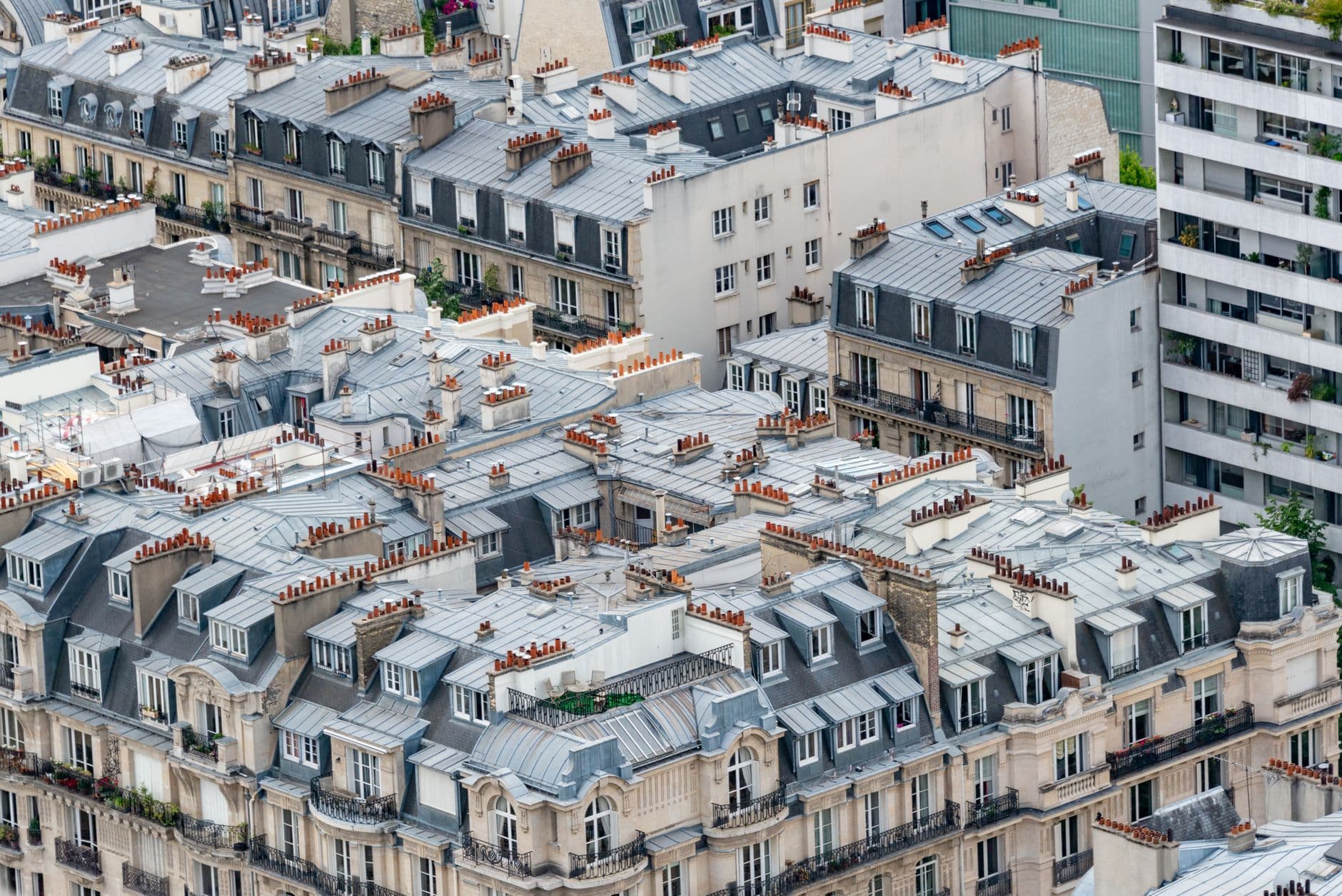 Aerial view of classic Paris rooftops showcasing urban architecture and detailed designs.