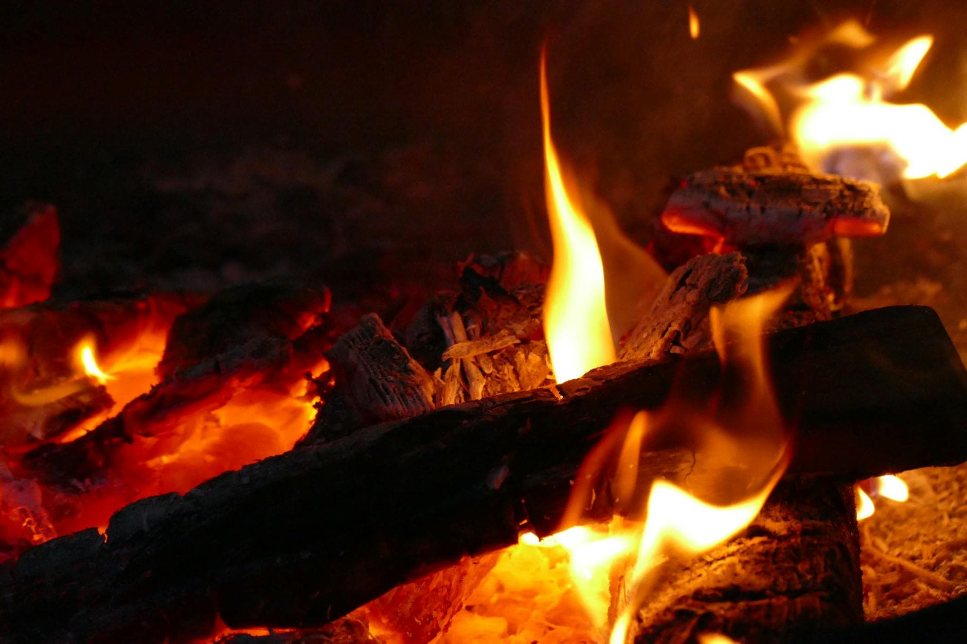 Detailed close-up of burning wood and flames, capturing the warmth and vibrant glow of a campfire.